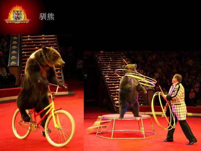 汴京藝術團值得的信賴[河南商業慶典演出]